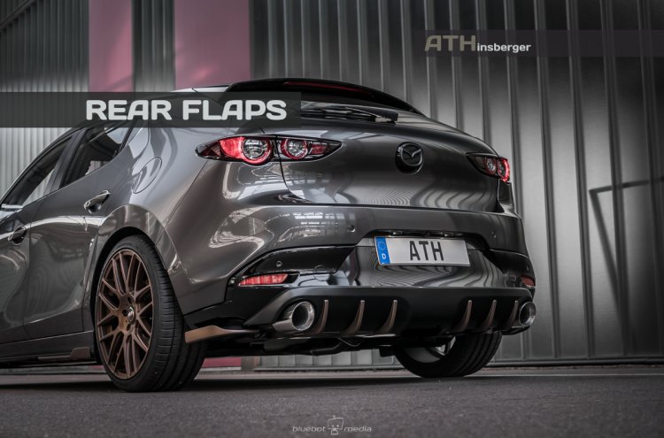 Rear Flaps 