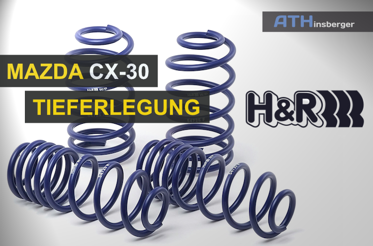H+R Tieferlegungsfedern 