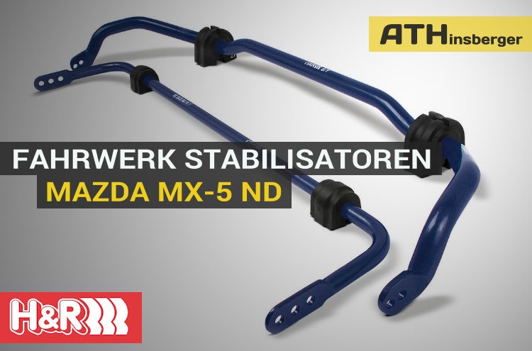 Stabilisatoren Vorder- + Hinterachse 