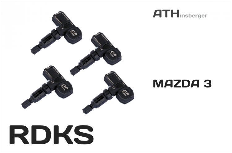 Reifendruck-Kontrollsystem (RDKS /TPMS) 