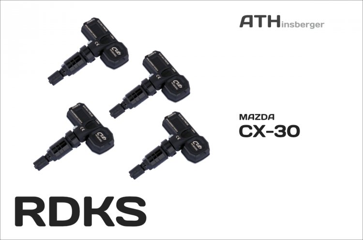 Reifendruck-Kontrollsystem (RDKS) 