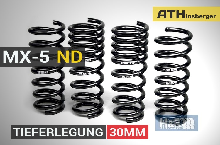 H+R Tieferlegungsfedern 